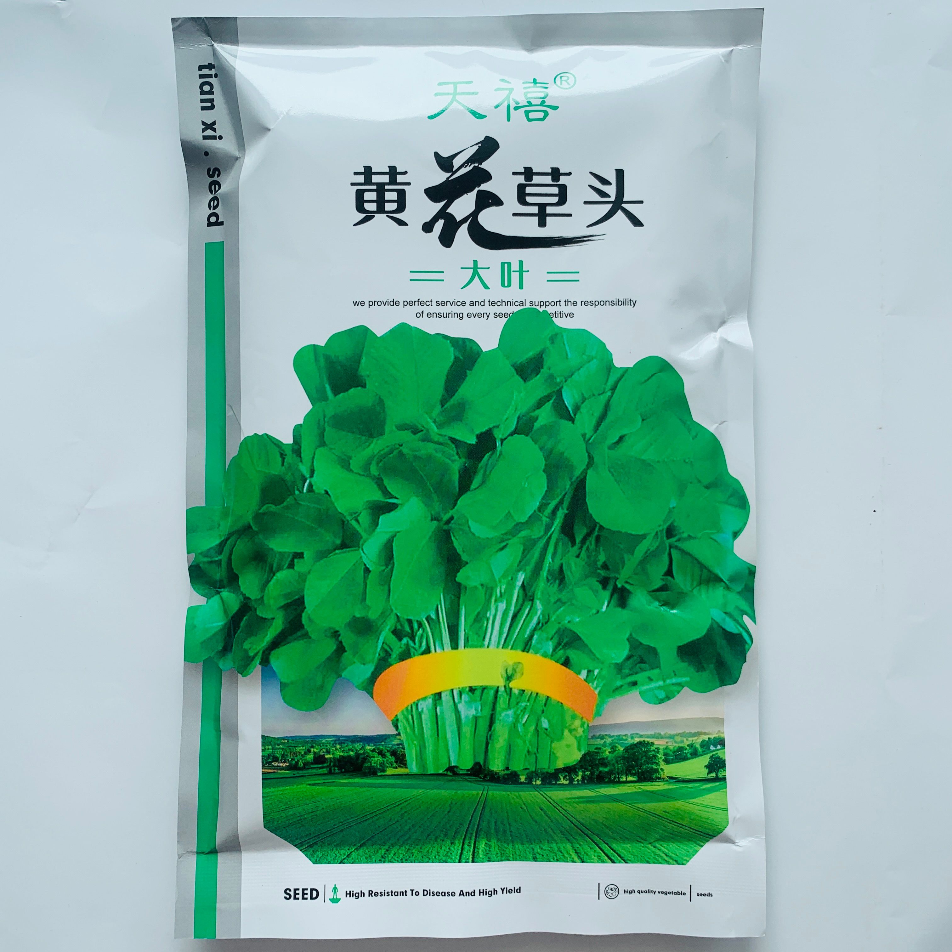 沭阳县大叶黄花草头种子上海特产草头种子金花菜种子食用苜蓿野菜蔬菜籽