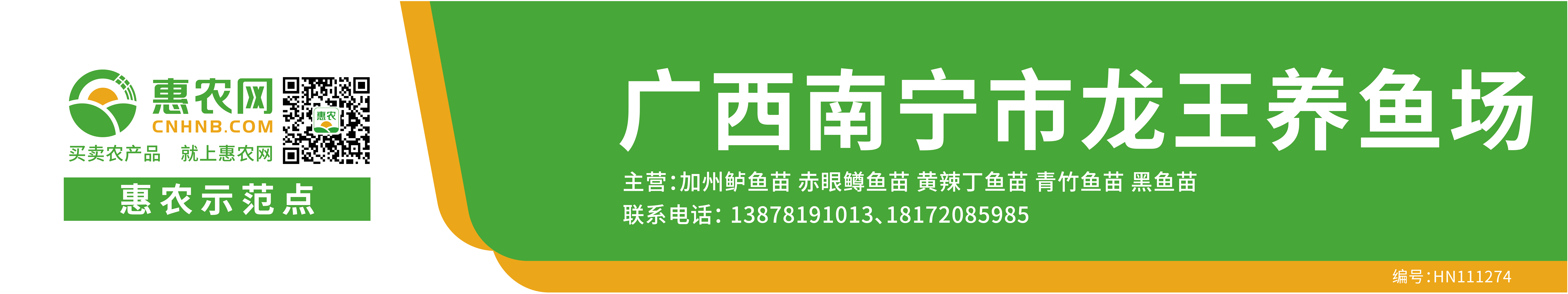 广西南宁市顺发渔业鱼苗批发供应