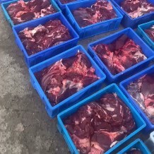 郑州鲜宰驴肉 肋条肉 腿肉 分带皮不带皮