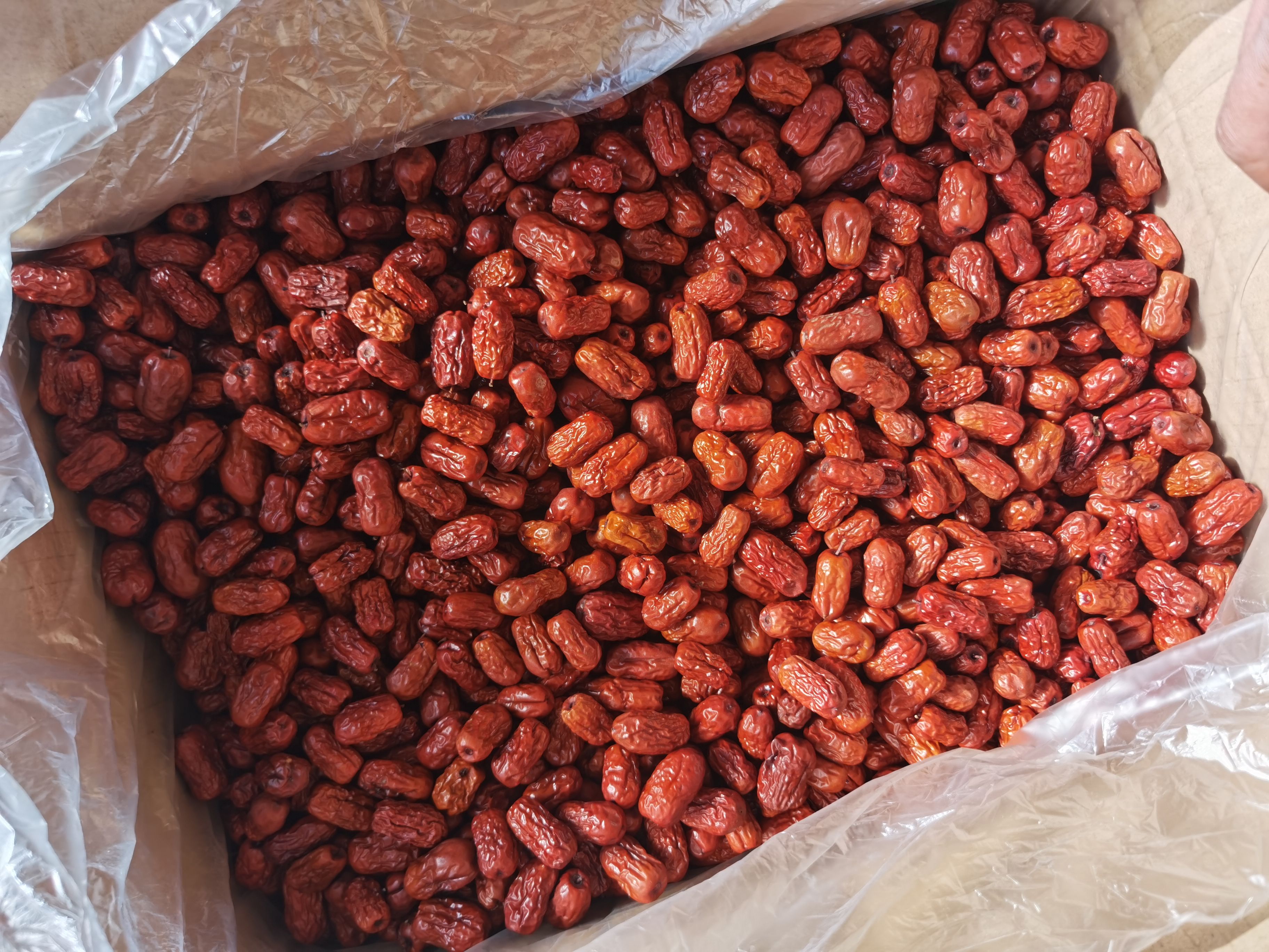 天然无核金丝小枣自然生长可直接食用不用吐核枣香味浓郁香甜