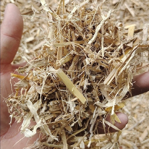 怀仁市玉米柔丝秸秆水份低，保过夏天量大优惠