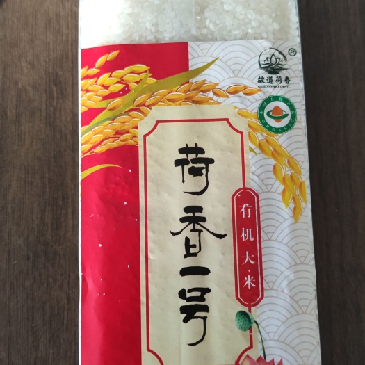 曹县荷香一号