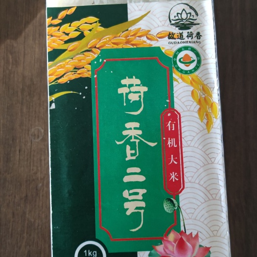 曹县荷香二号