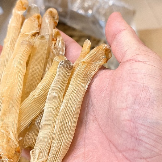 遂溪县大沙虫，无沙