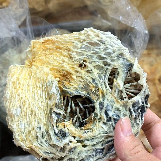 遂溪县刺豚干