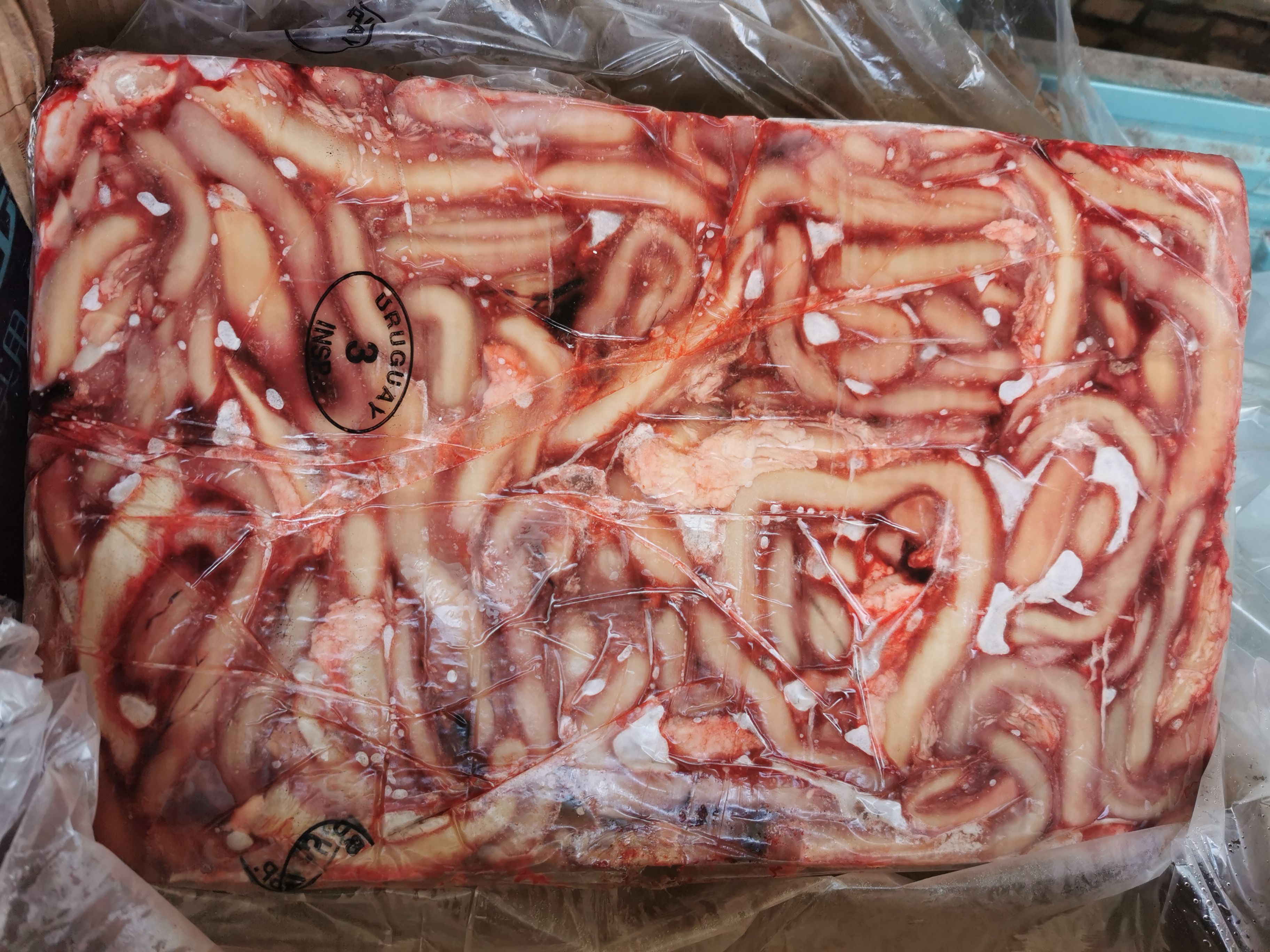 3厂牛鞭，正关牛鞭，证件齐全