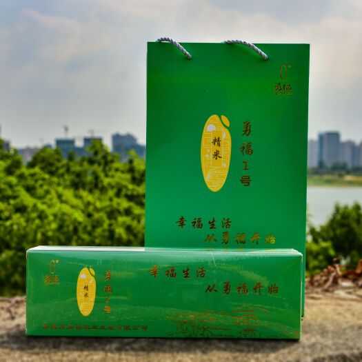 常德勇福1号