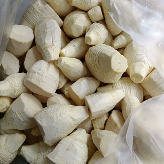 衡阳县现剥新鲜冬笋肉