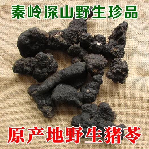 佛坪县秦岭猪苓新鲜