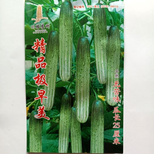 长沙县川塔农科精品极早美黄瓜种 无苦味 极早熟 强雌性抗病本地黄瓜