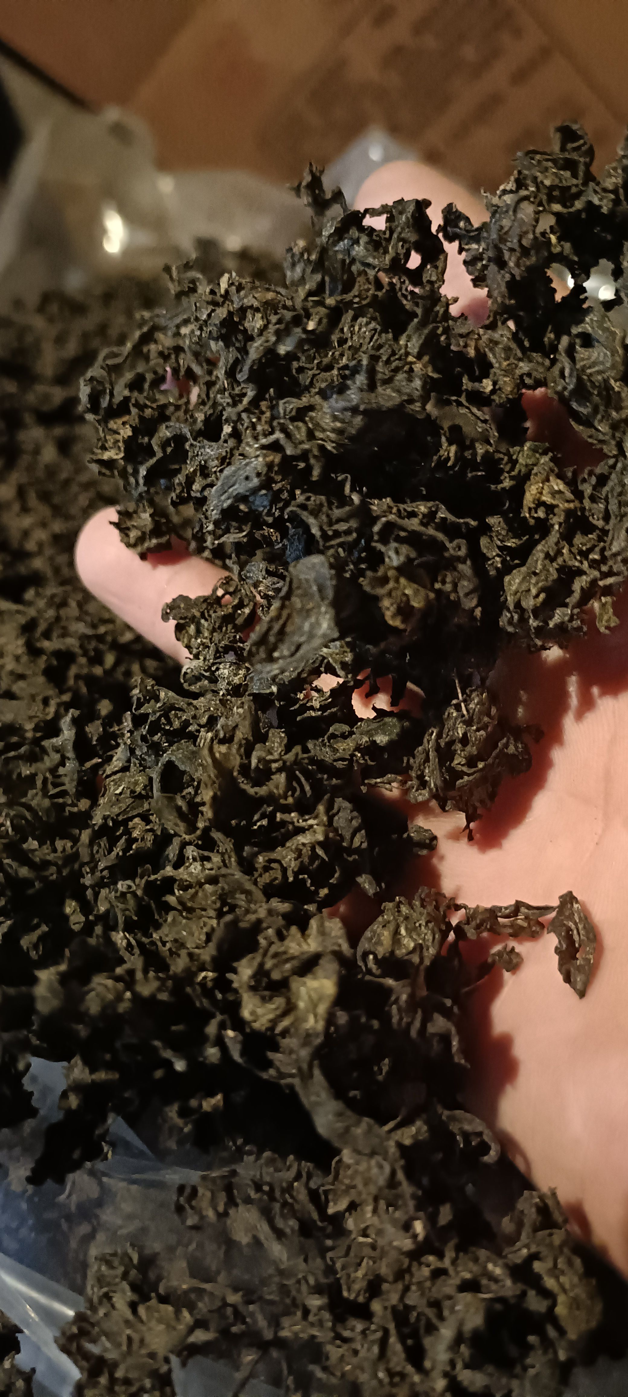 同心县免洗地皮菜，泡发十足
