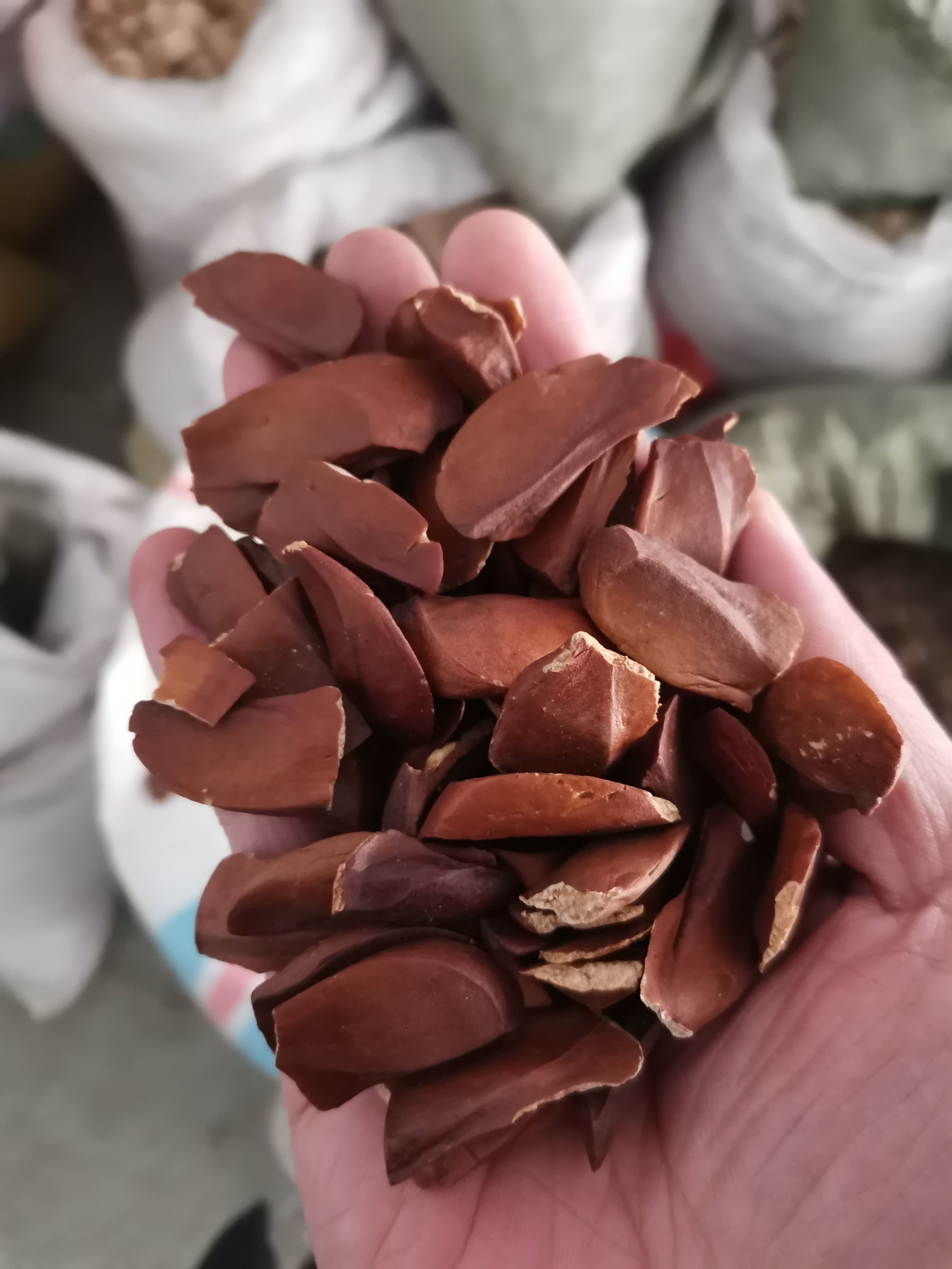 向天果 正品无硫新果【假一赔十】