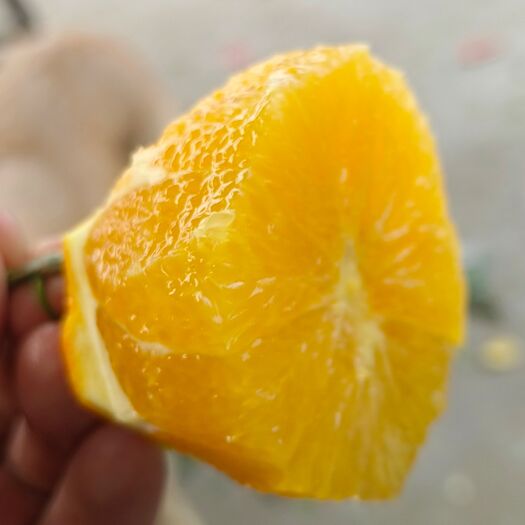 宜都市纽荷尔脐橙 色泽鲜艳 糖度高 产地直发