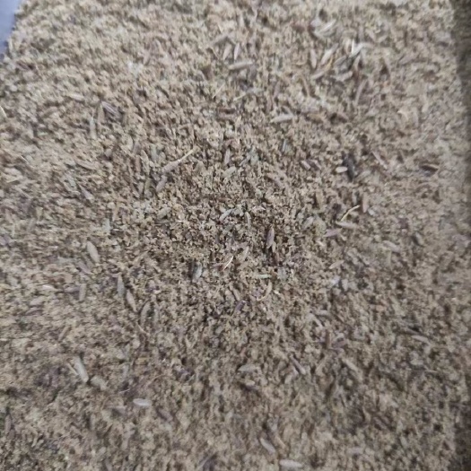 淄博优质孜然半颗粒
