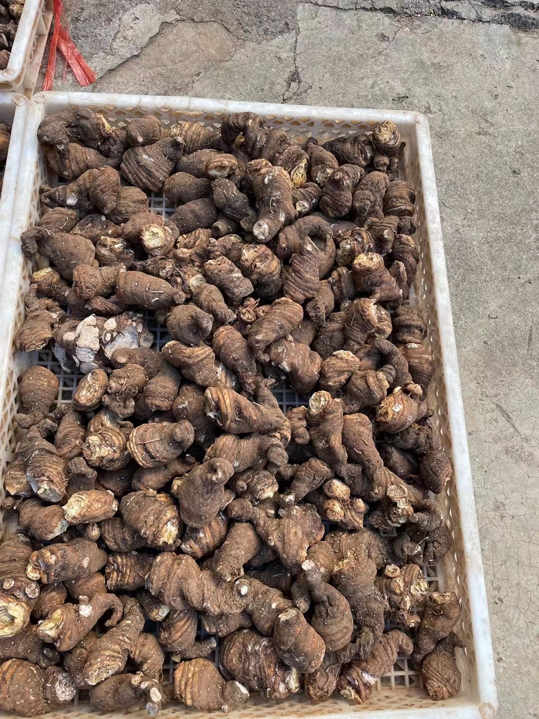 全粉质重楼出售，规格大小随意选择