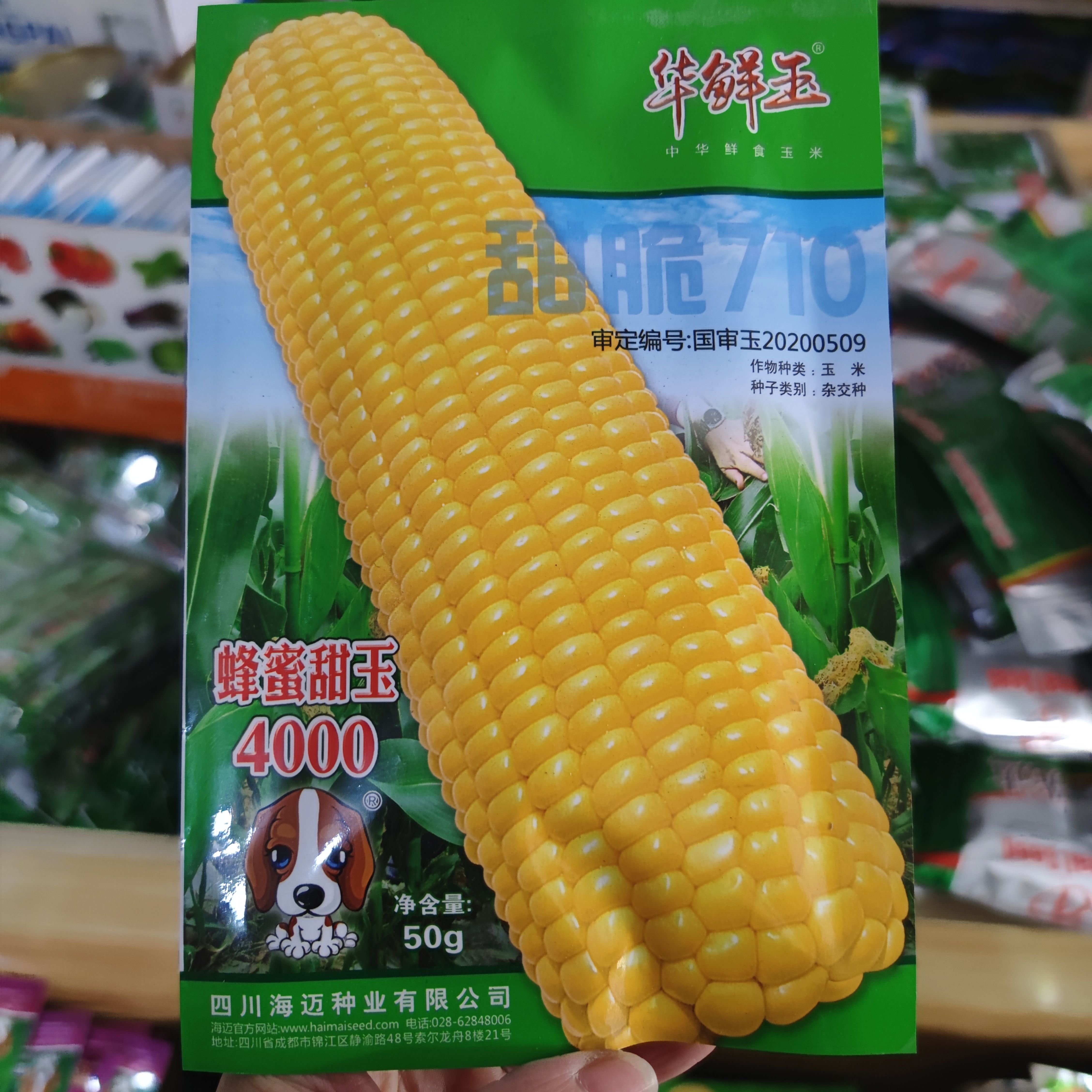 萧县海迈 甜脆710 蜂蜜甜玉4000 鲜食甜玉米种子 50克