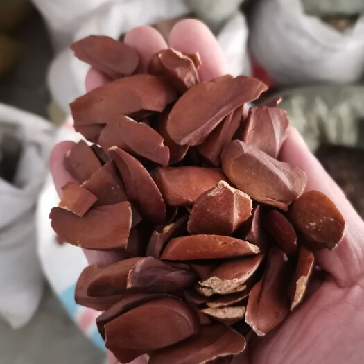 向天果 正品无硫新果【假一赔十】