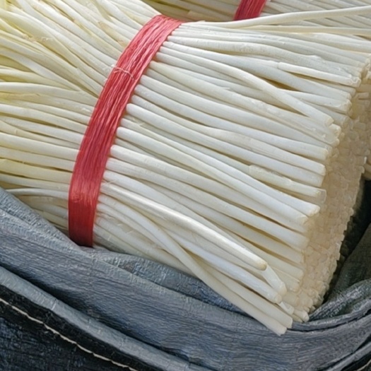 佛山韭黄