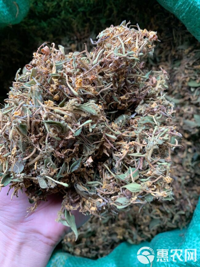 金银花 优质金银花长自贵州高山 手工花品质好全干货纯自然