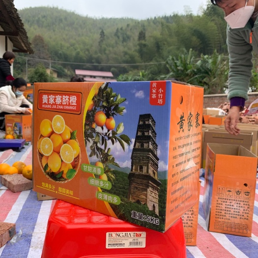 南雄市黄家寨脐橙