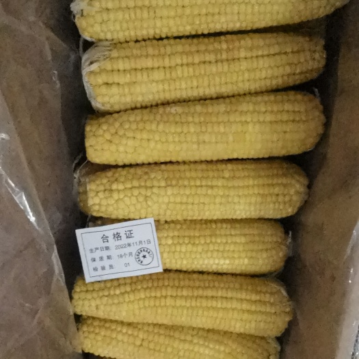 依安县依然香食品加工厂欢迎您。速冻白玉米黄玉米两种还有速冻油豆角