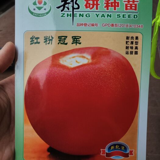 南昌郑研粉红西红柿种子，10克，果型高圆，肉厚味甜，耐储运