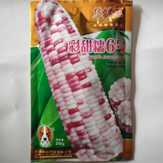 萧县华鲜玉彩甜糯6号国审玉杂交玉米种200g