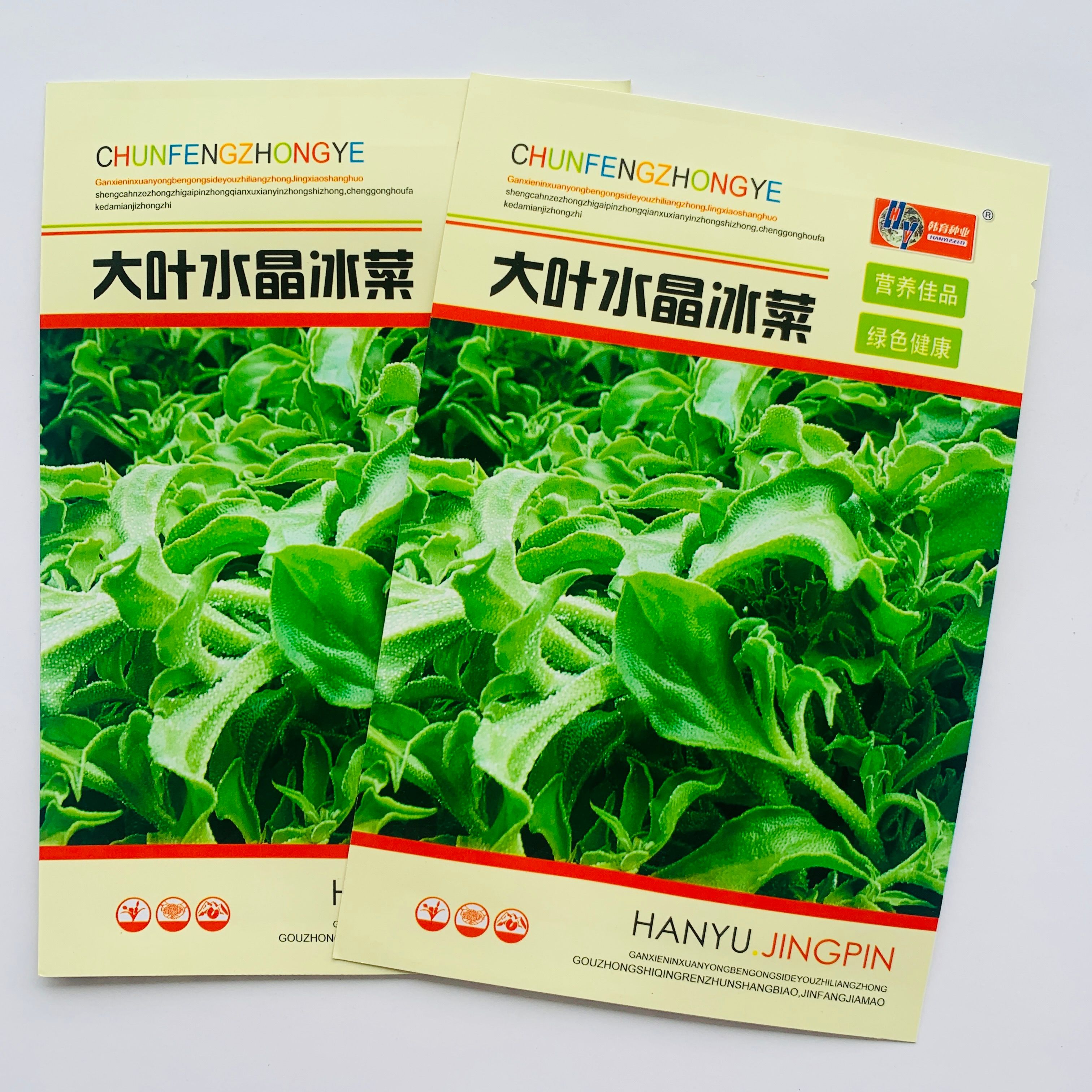 沭阳县冰草种子高含氨基酸非洲特菜冰草种子盆栽蔬菜种子冰菜苗种子