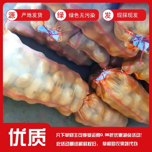 渭源县2023年甘肃定西陇薯土豆大量有货！货源充足！！