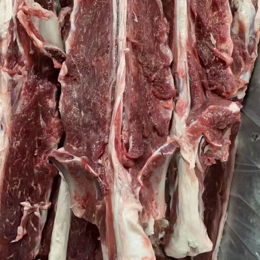 临沂羊蝎子多肉