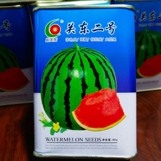 依安县关东二号大地雷【大粒种子】