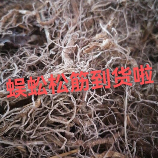 宁远县蜈蚣松筋