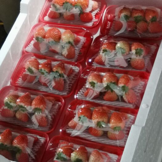 徐州宁玉奶油草莓