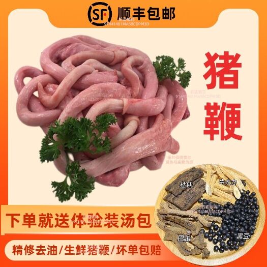 佛山顺丰包邮 新鲜猪鞭 精修去油 冰鲜冻库急冻发出猪鞭精品食材