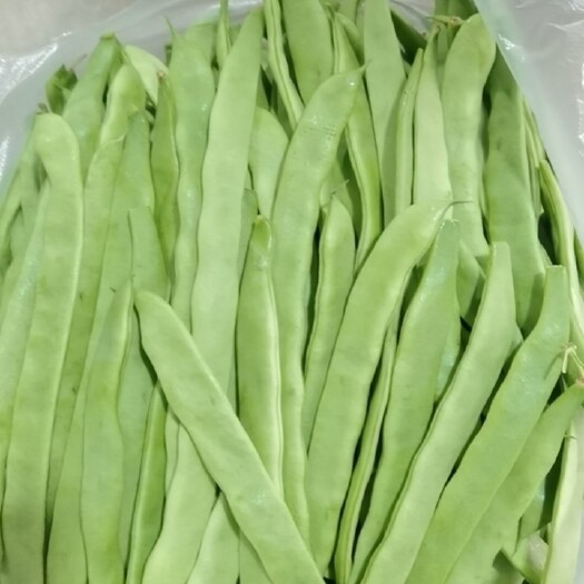 漳州扁豆基地種植，自配冷庫(kù)，支持各種規(guī)格包裝