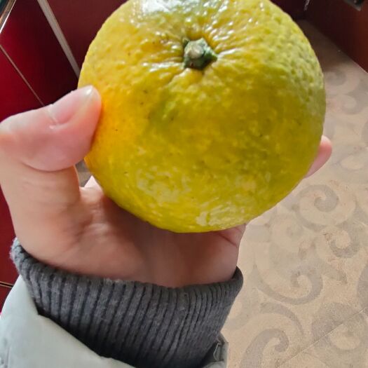顺昌县新鲜桔柚好吃肉嫩细腻清甜爽口，超甜大果皮薄，农村原产地