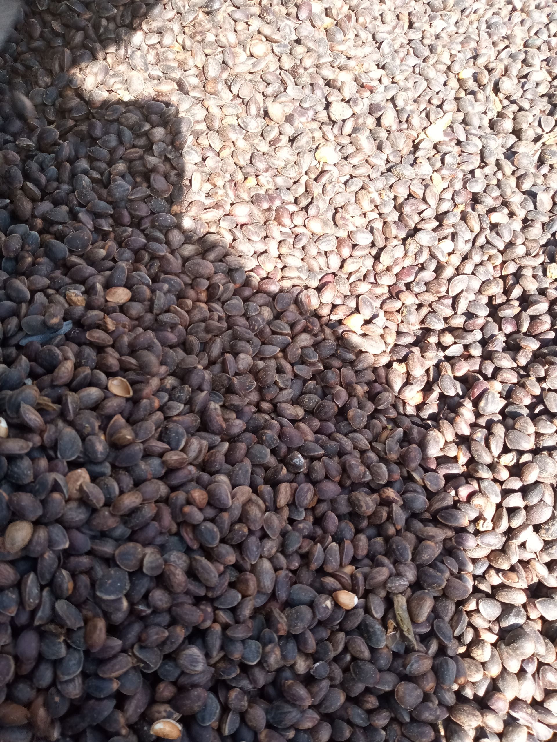 红花椒，寻找买家，数量较大