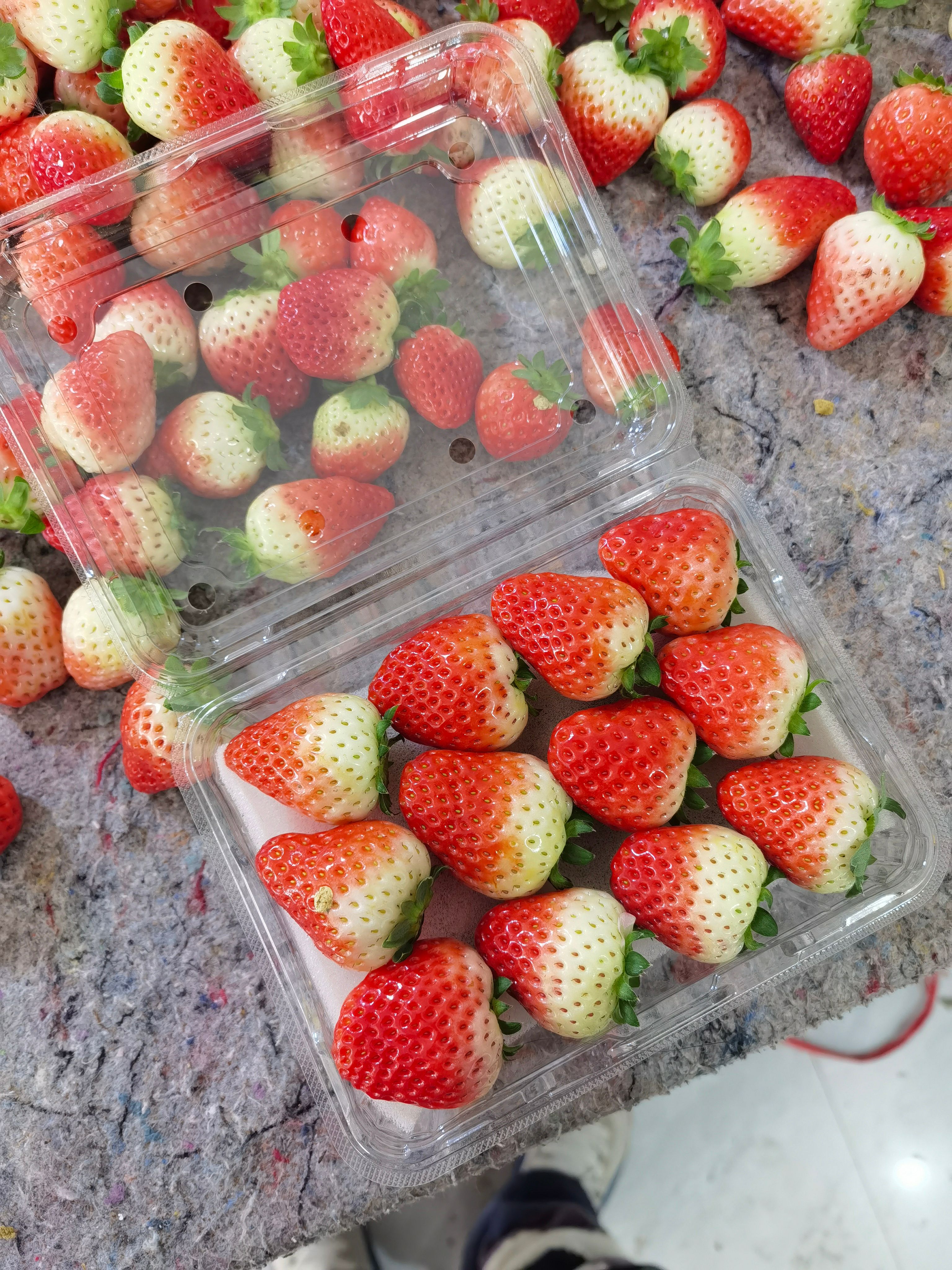 宁玉、妙香草莓