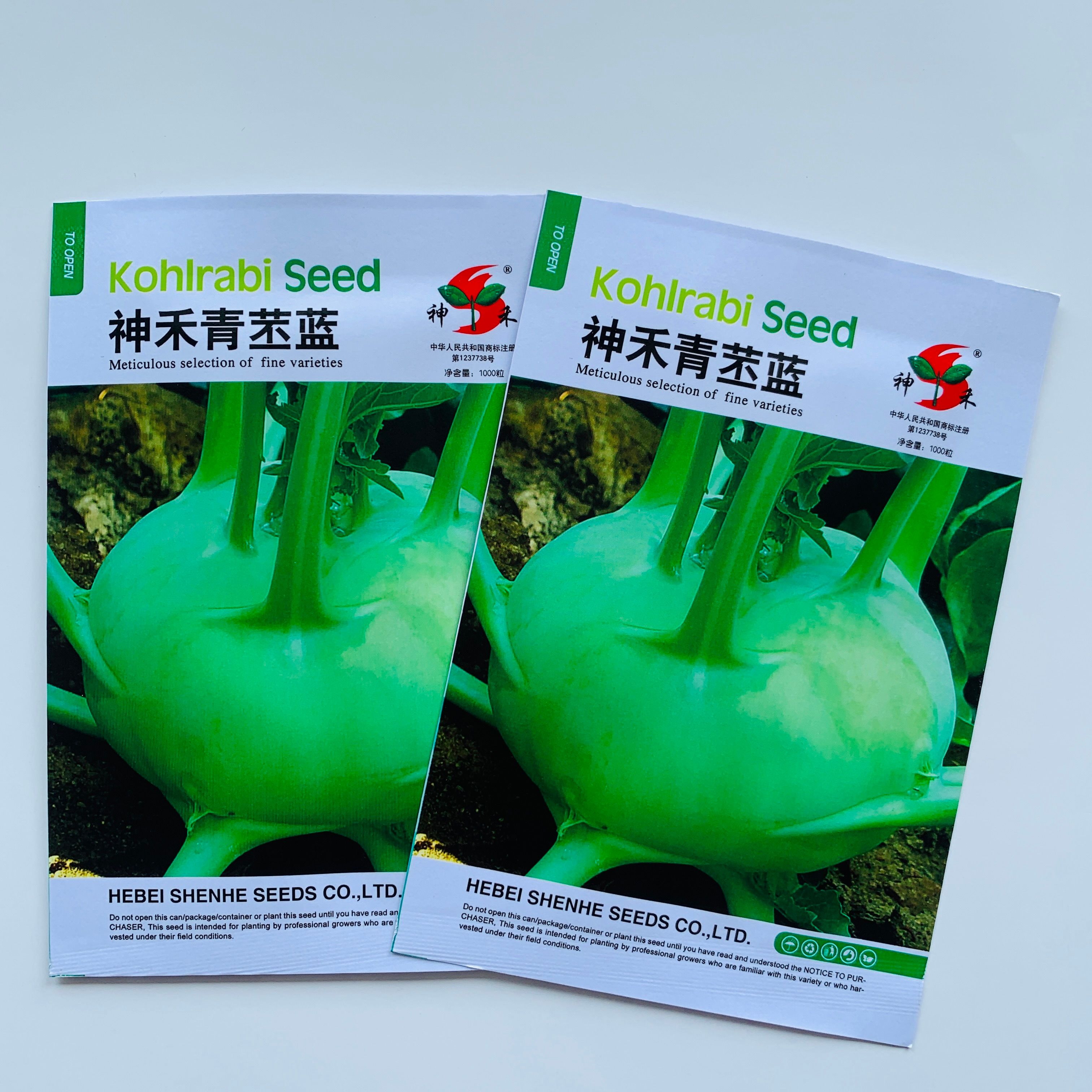 沭阳县青苤蓝种子紫苤蓝种子春秋水果苤蓝种子四季蔬菜品种芥兰头芥兰种