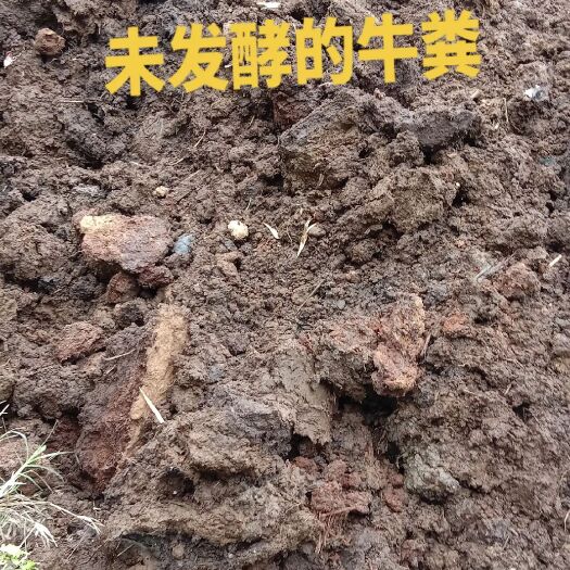 忻城县农家肥发酵的牛粪，羊粪