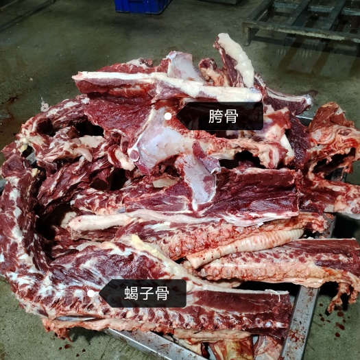 宁津县驴蝎子 马蝎子都是现宰鲜货多肉少肉都有