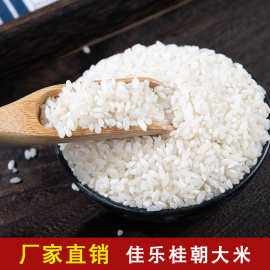 灵山县大米  恒星桂潮大米