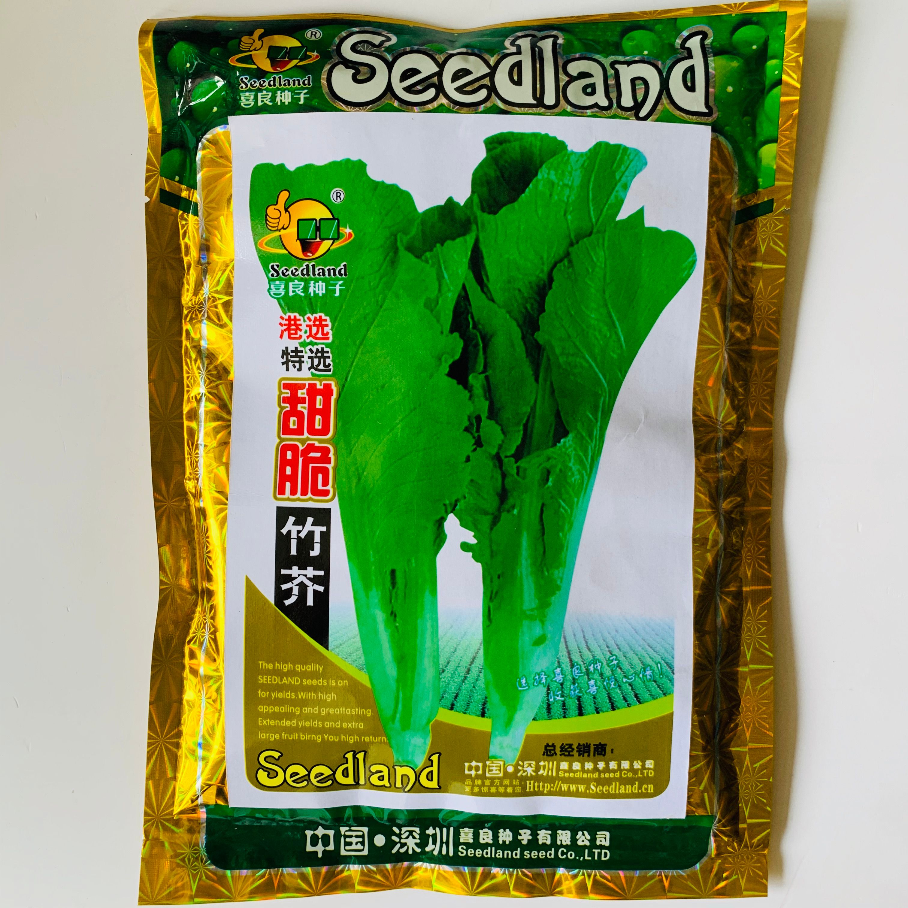 各种芥兰种子香港中花芥兰种子各种特色菜种子四季种包邮