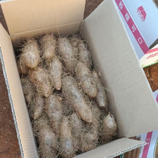 非常不错