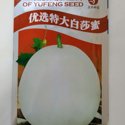 武汉超甜白沙蜜甜瓜种籽春秋季丰产薄皮特大白皮香瓜种子四季水果种孑