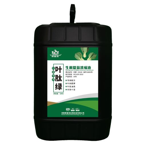 郑州叶肽绿
