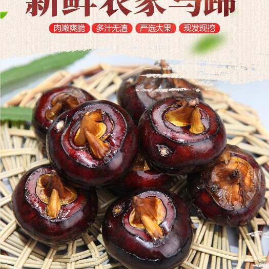 南昌县江西马蹄