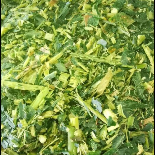 兴国县新鲜甜玉米秸秆