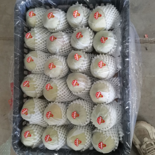 库车市库尔勒香梨