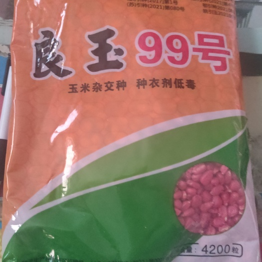 沈丘县登海良玉99